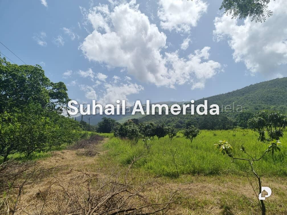 Finca en Aguirre, Montalbán – 3