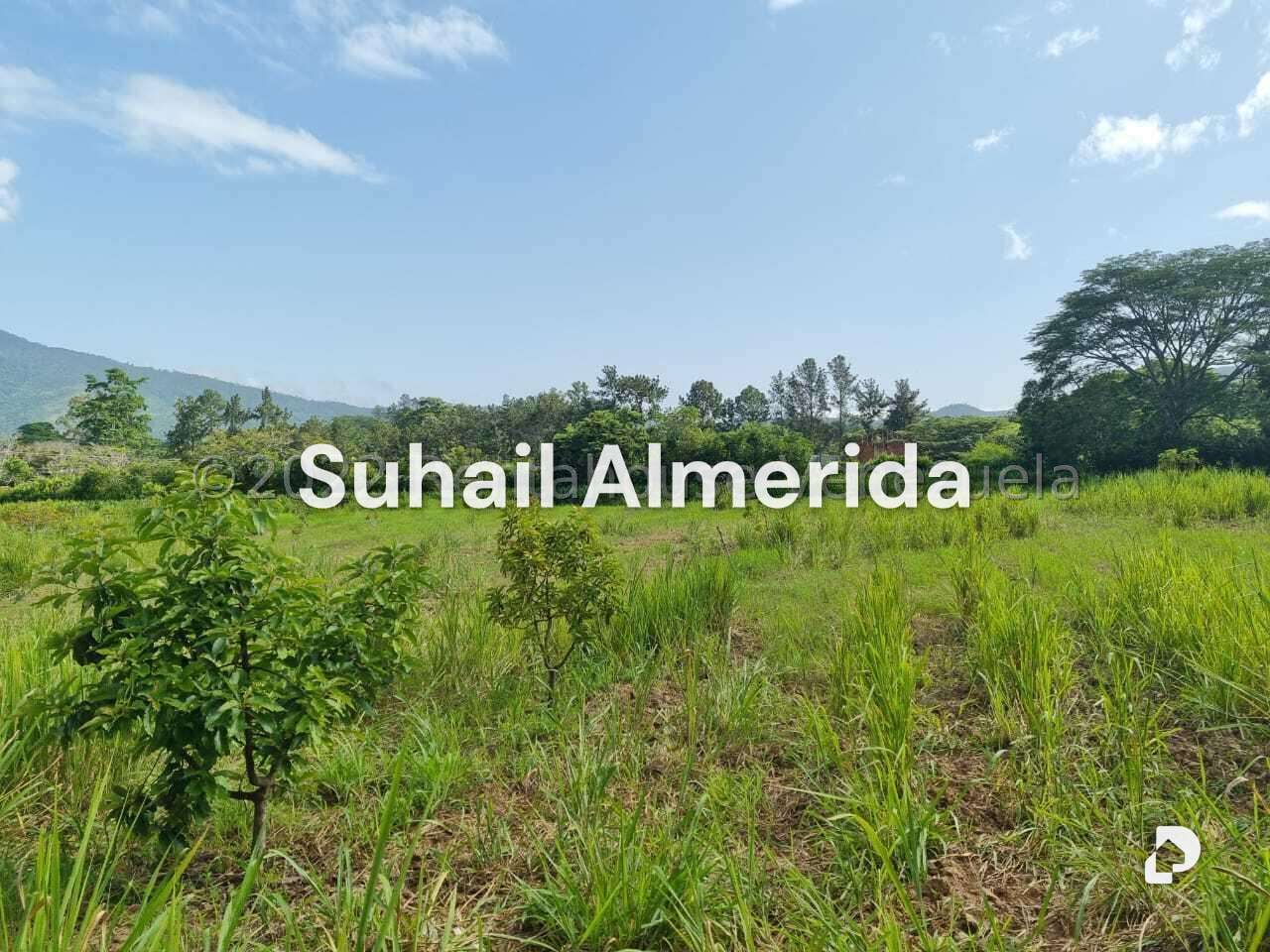 Finca en Aguirre, Montalbán – 2