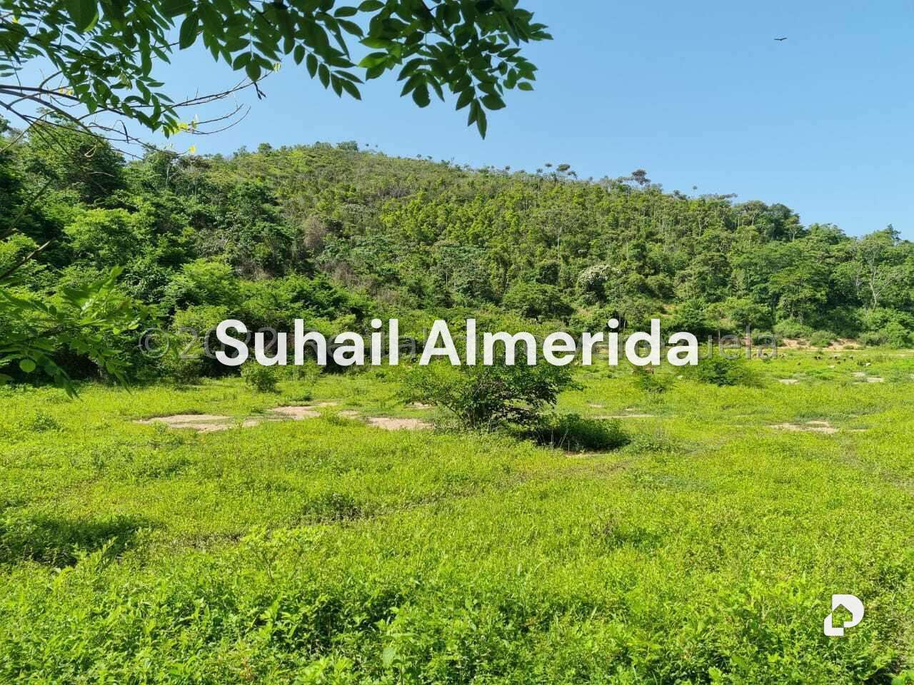Finca en Aguirre, Montalbán – 10