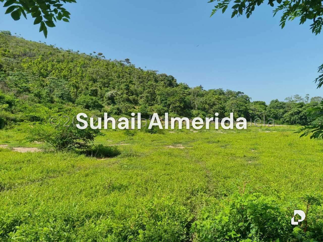 Finca en Aguirre, Montalbán – 6