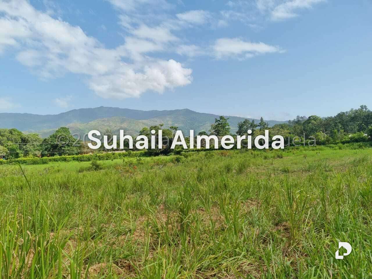 Finca en Aguirre, Montalbán – 9