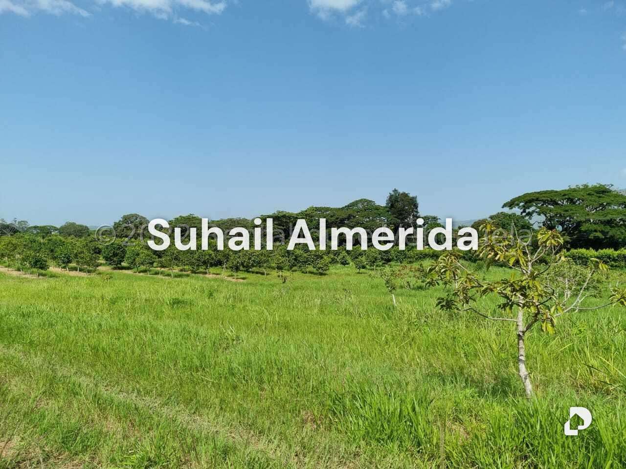 Finca en Aguirre, Montalbán – 4