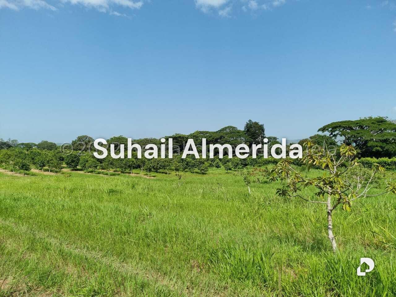 Finca en Aguirre, Montalbán – 4