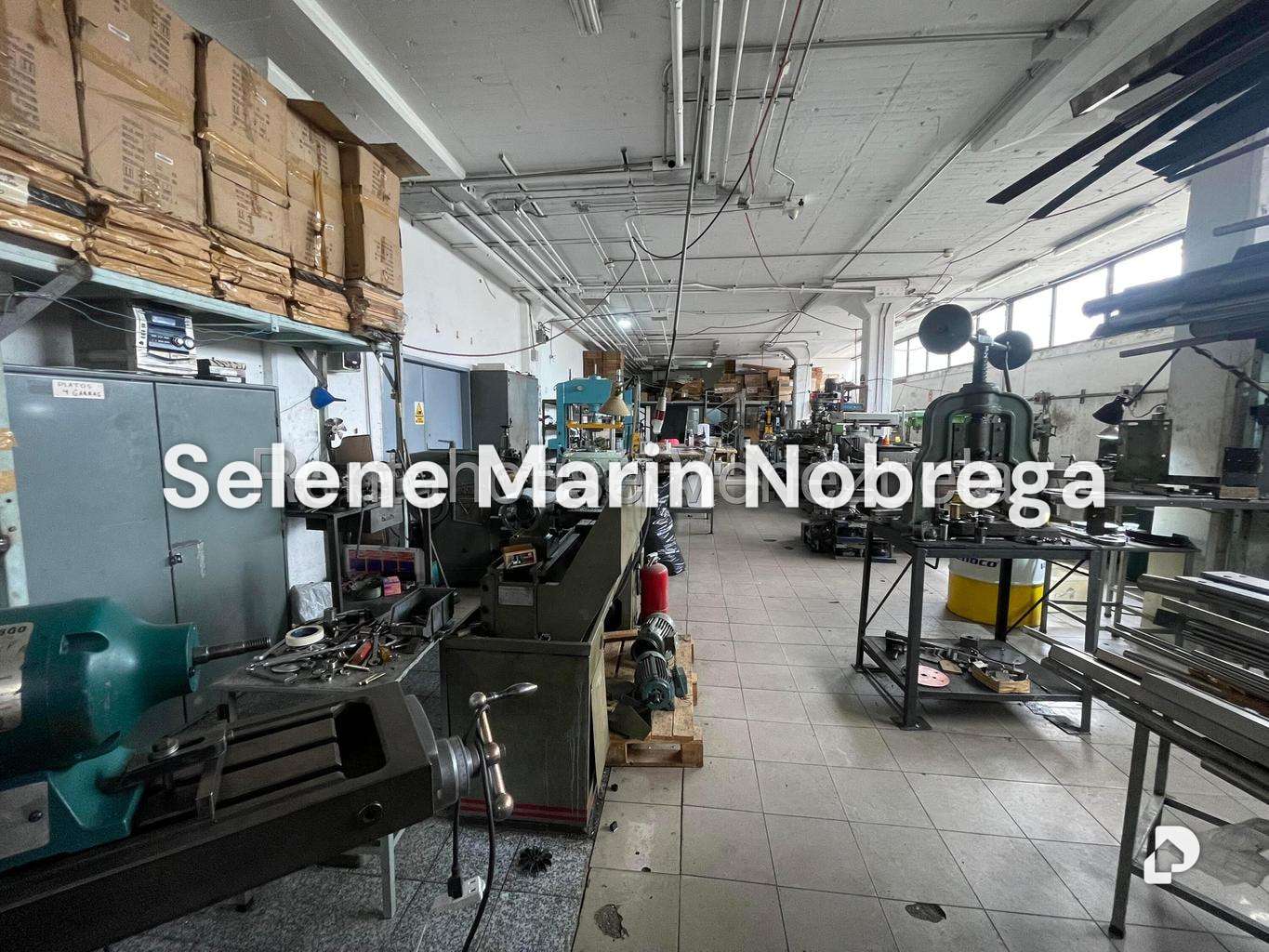 Local comercial en Los Ruices, Caracas – 17