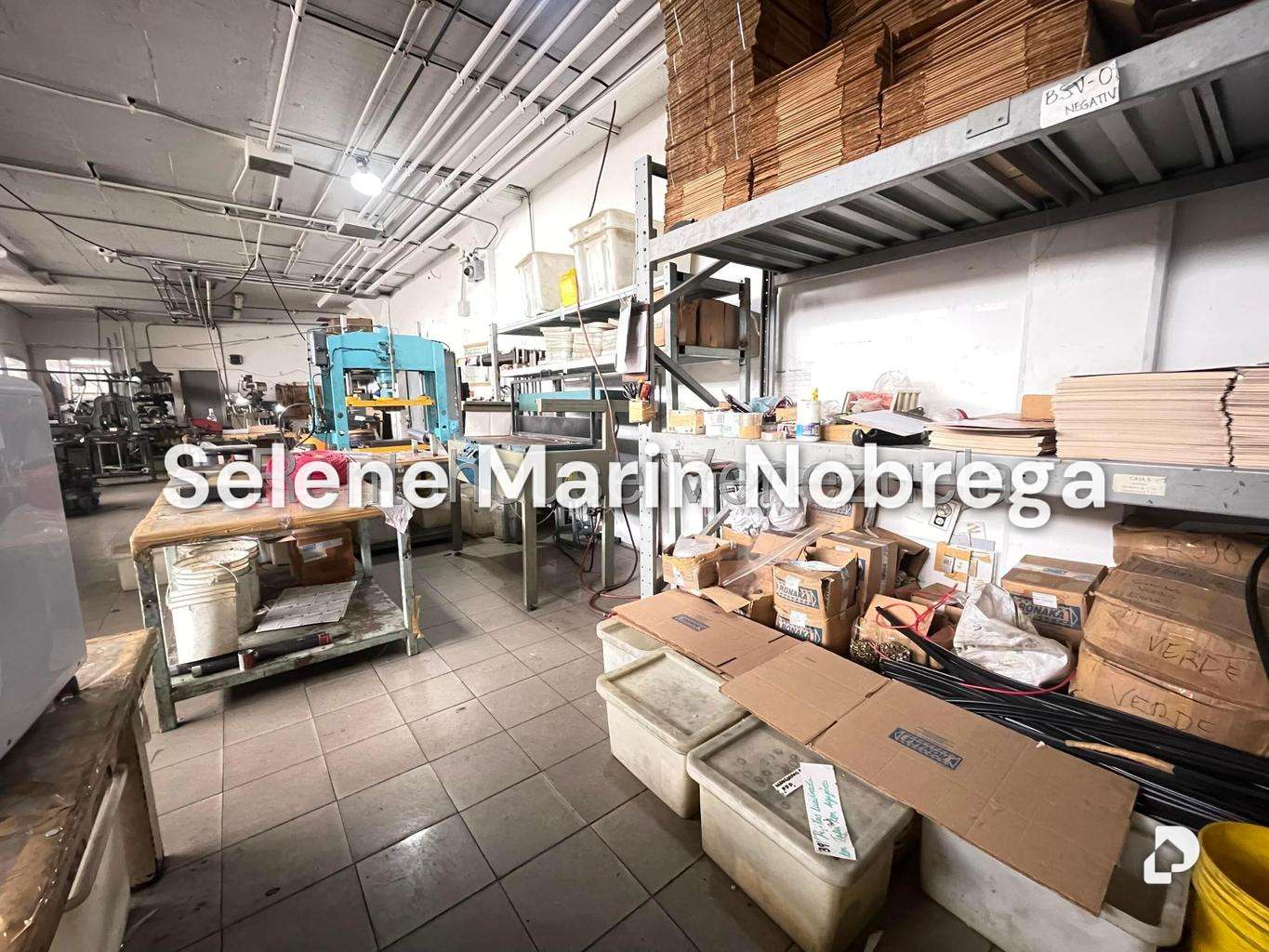 Local comercial en Los Ruices, Caracas – 13