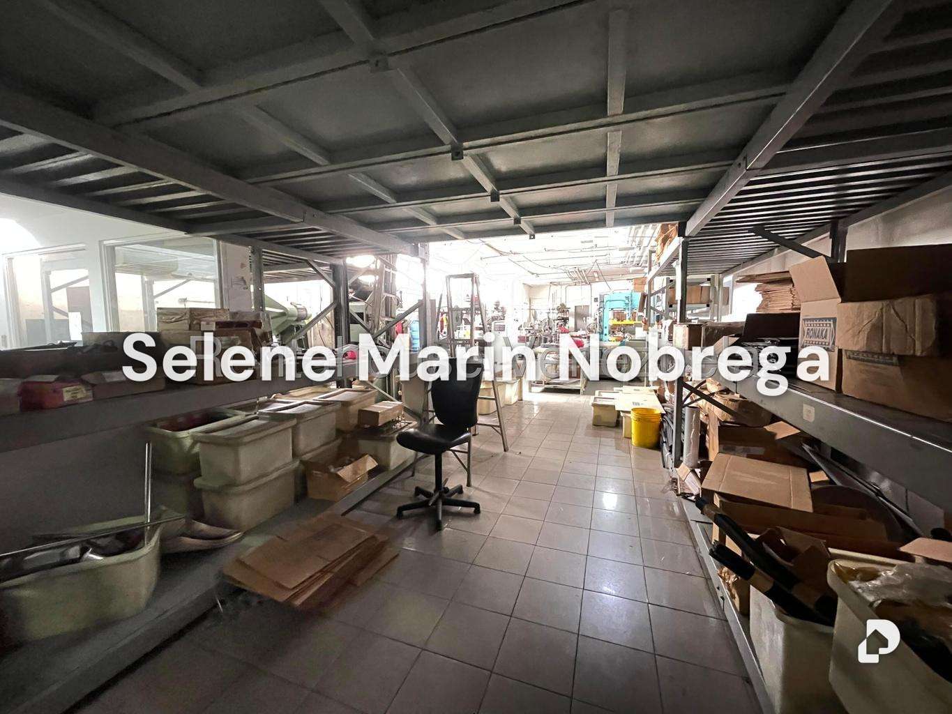 Local comercial en Los Ruices, Caracas – 12