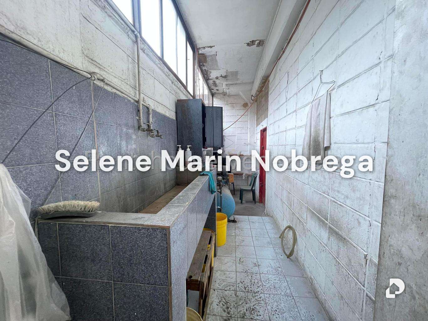 Local comercial en Los Ruices, Caracas – 20
