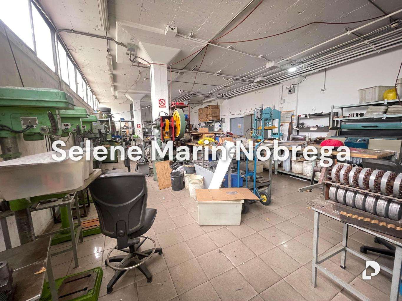 Local comercial en Los Ruices, Caracas – 15