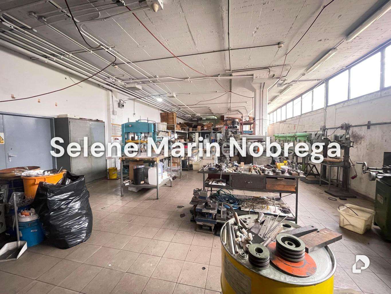 Local comercial en Los Ruices, Caracas – 16