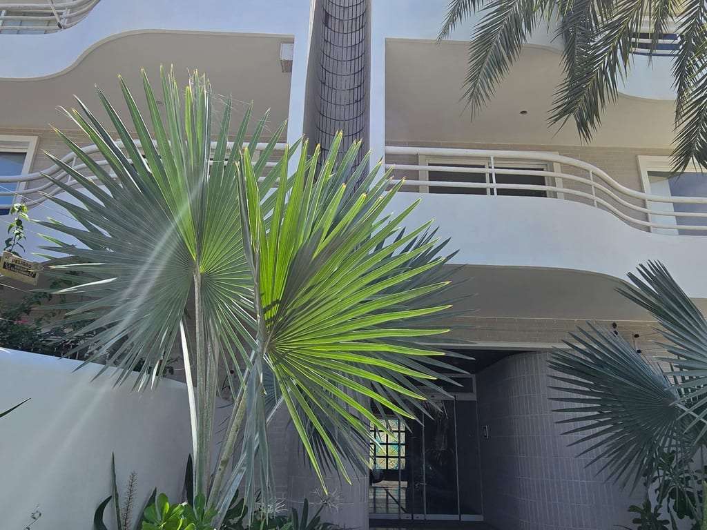Apartamento en Antolín del Campo - 1