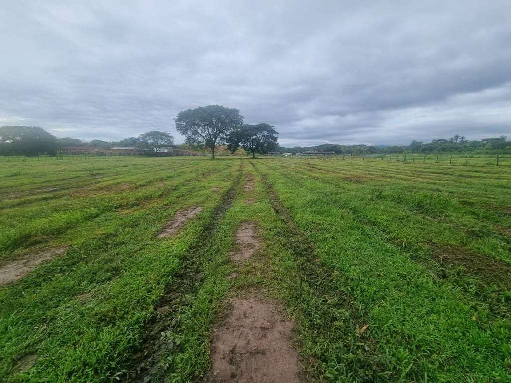 Finca en Camoruquito, San Carlos - 1