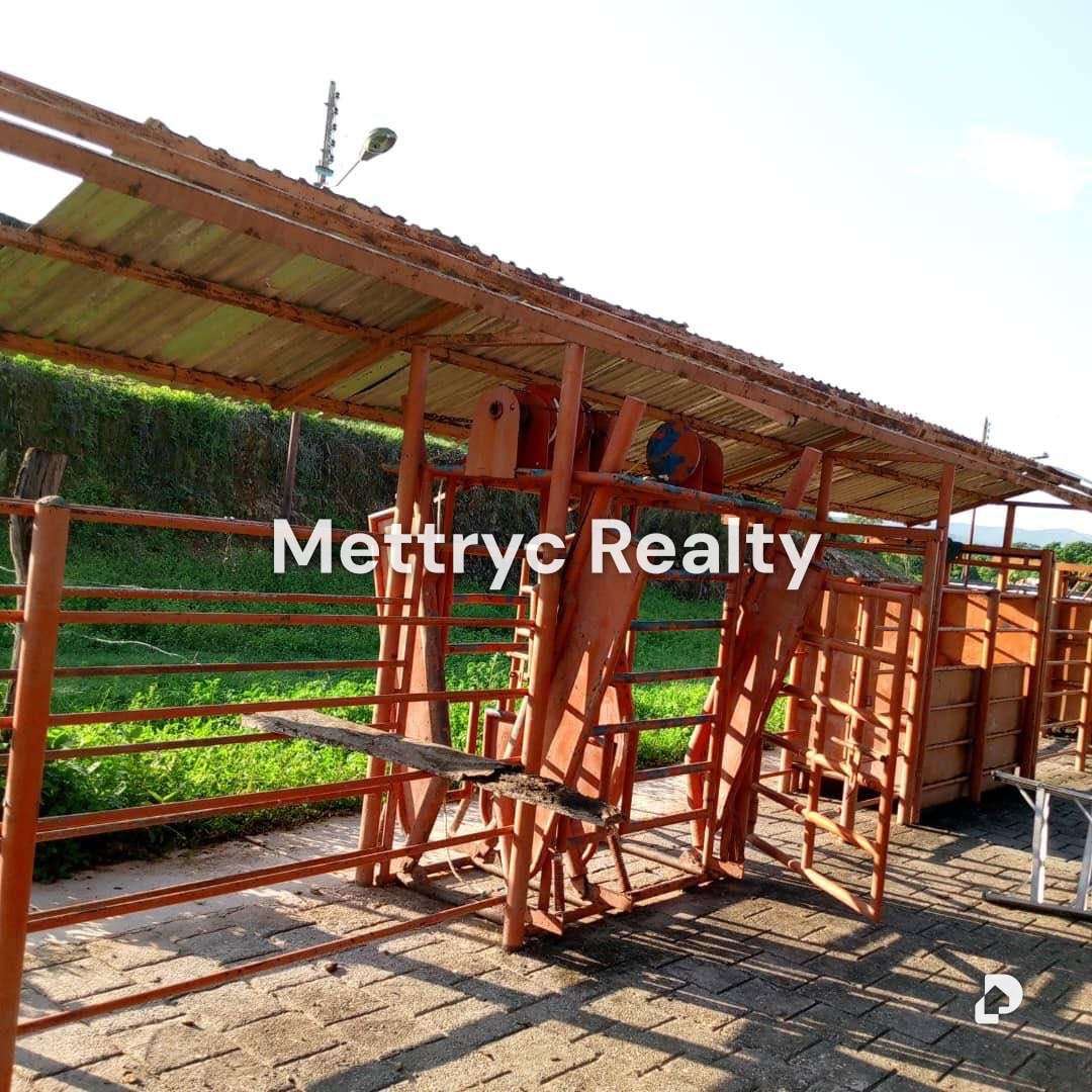 Finca en Camoruquito, San Carlos – 12