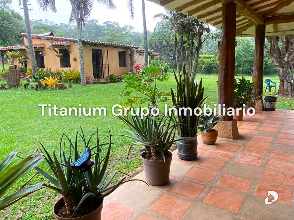 Finca en Valencia – 6