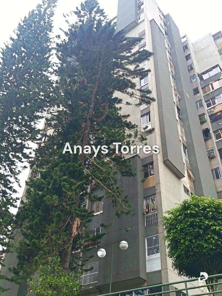 Apartamento en La Morita, Altos Mirandinos – 2
