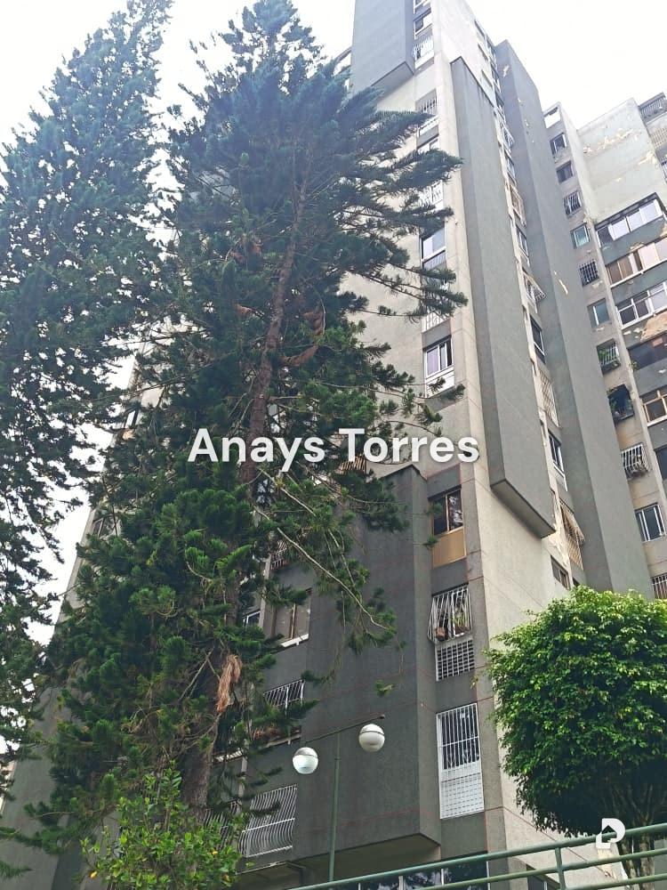 Apartamento en La Morita, Altos Mirandinos – 2
