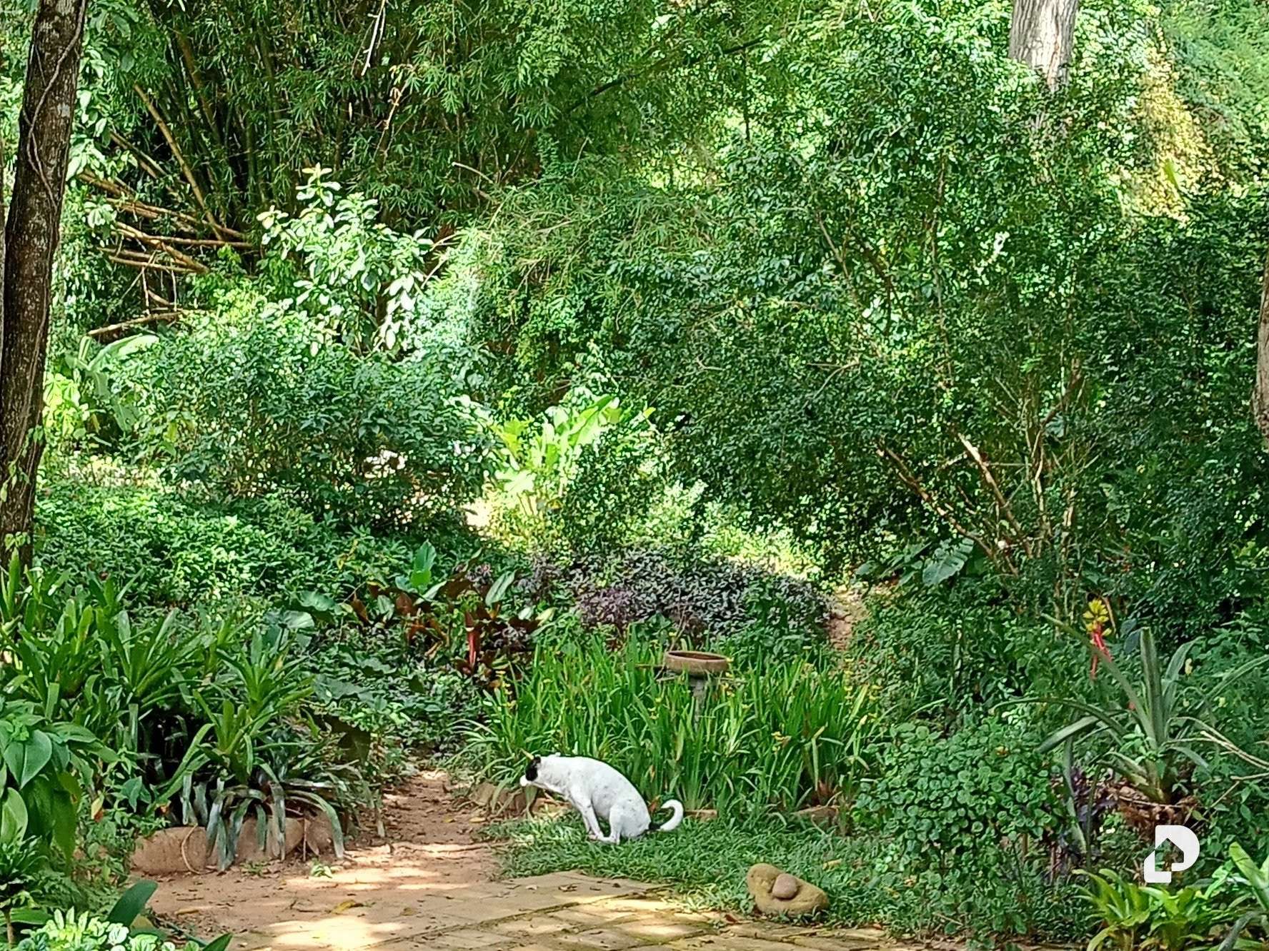 Casa en Los Campitos, Caracas – 17