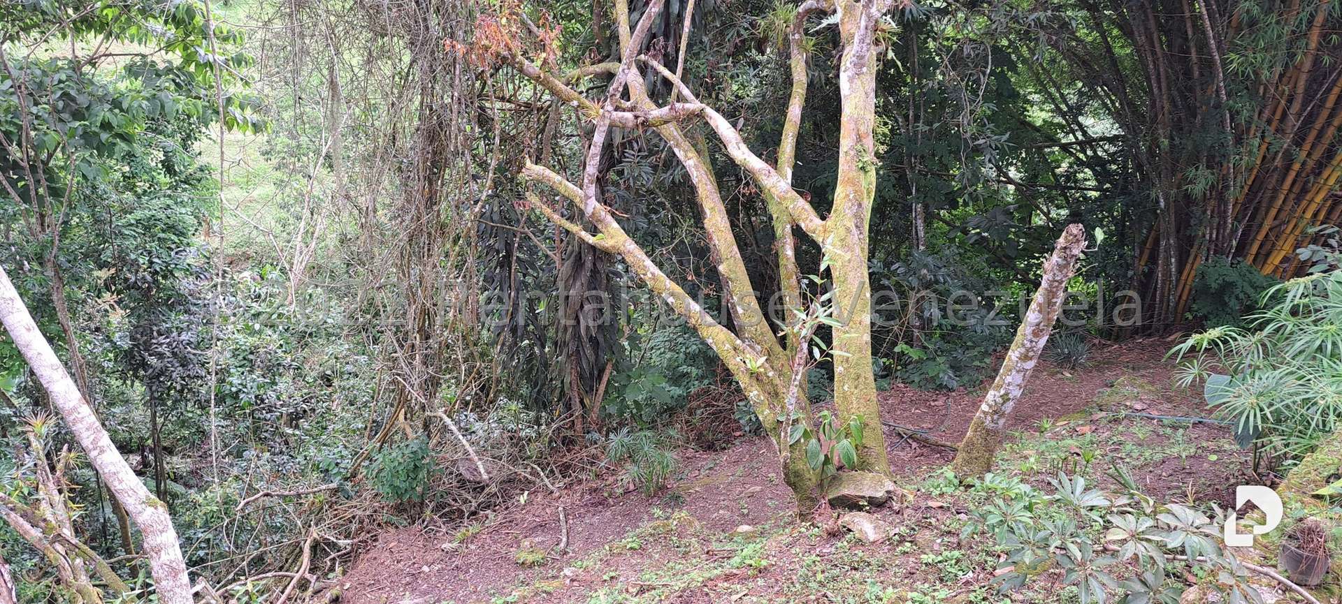 House in Alto Hatillo, Caracas – 33