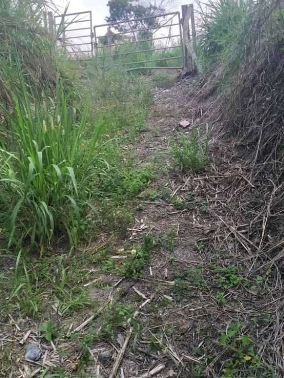 Terreno en San Diego de Los Altos, Altos Mirandinos - 1