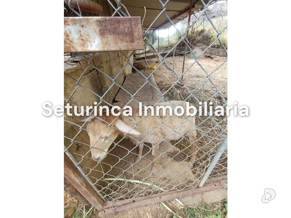 Finca en San Casimiro, Camatagua – 91