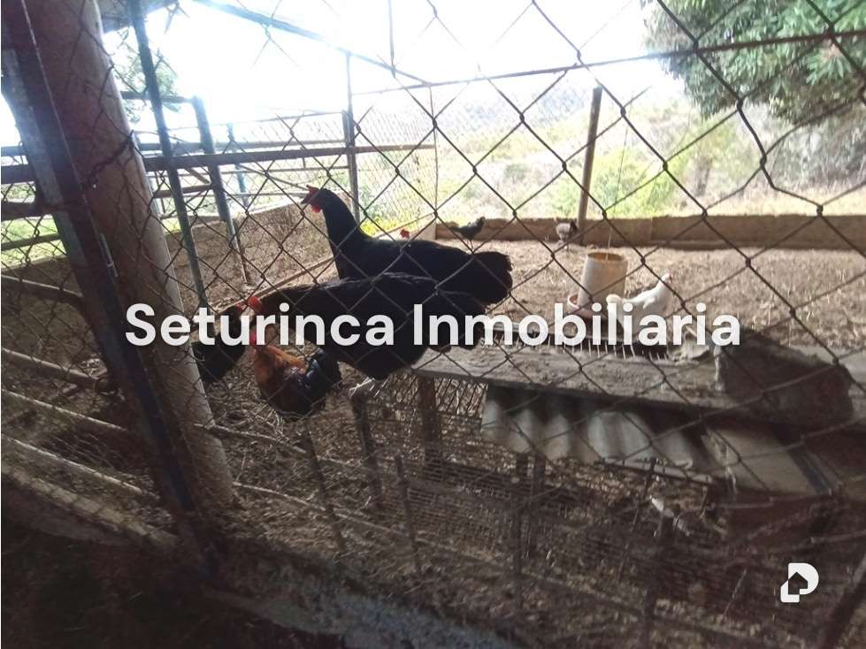 Finca en San Casimiro, Camatagua – 86