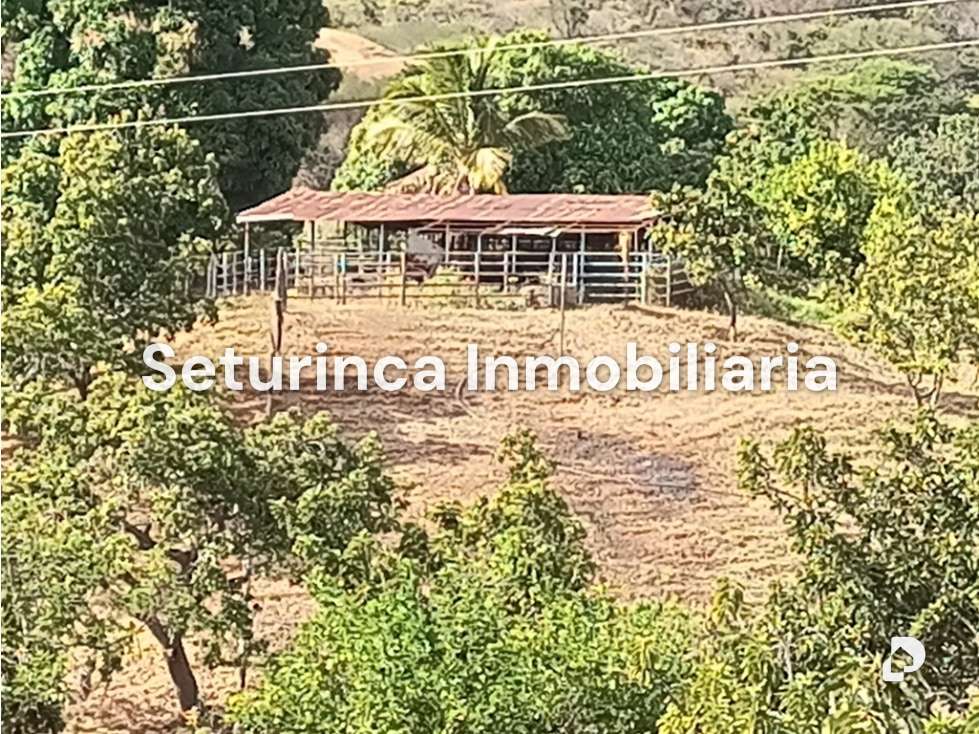 Finca en San Casimiro, Camatagua – 82