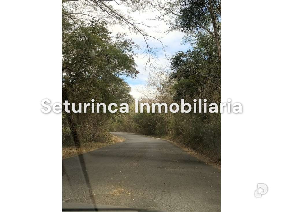 Finca en San Casimiro, Camatagua – 3