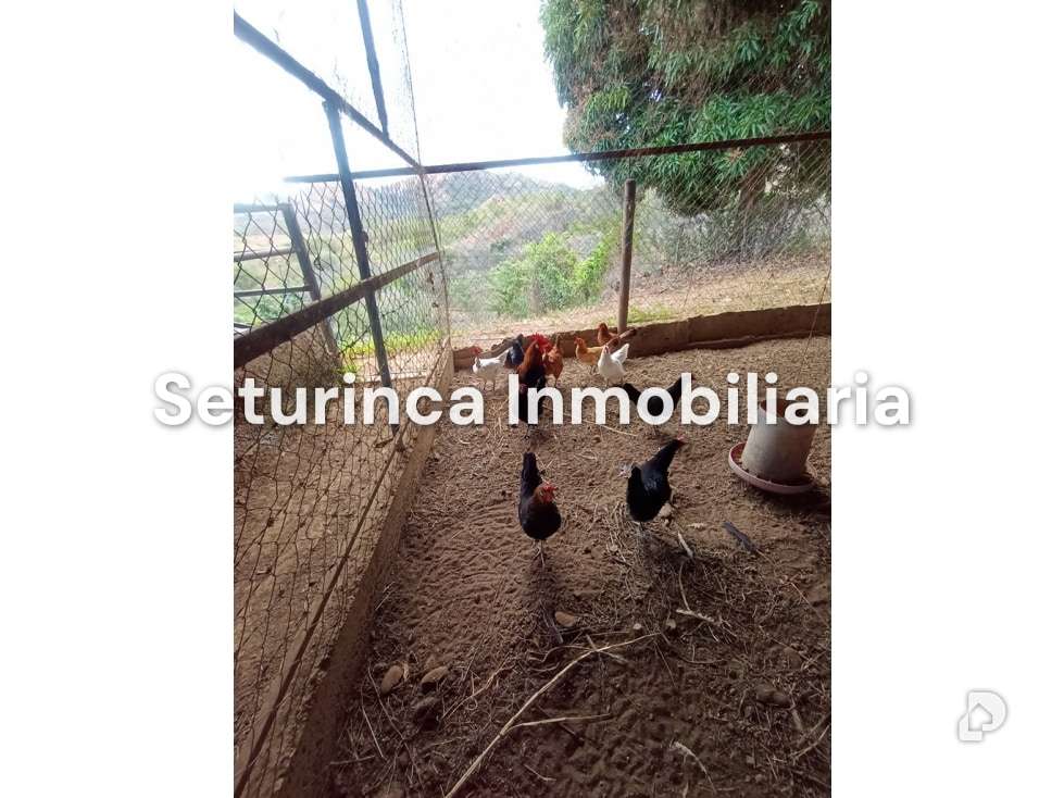 Finca en San Casimiro, Camatagua – 92