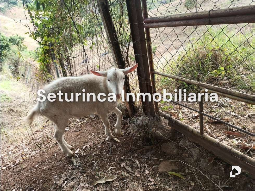 Finca en San Casimiro, Camatagua – 98