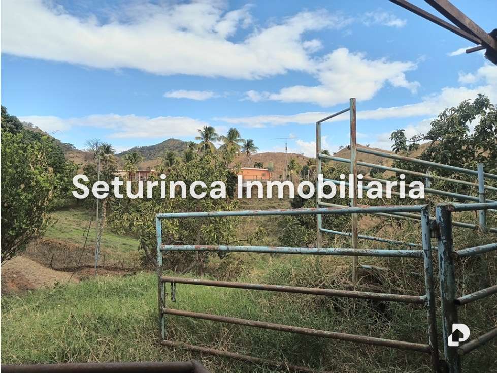 Finca en San Casimiro, Camatagua – 80
