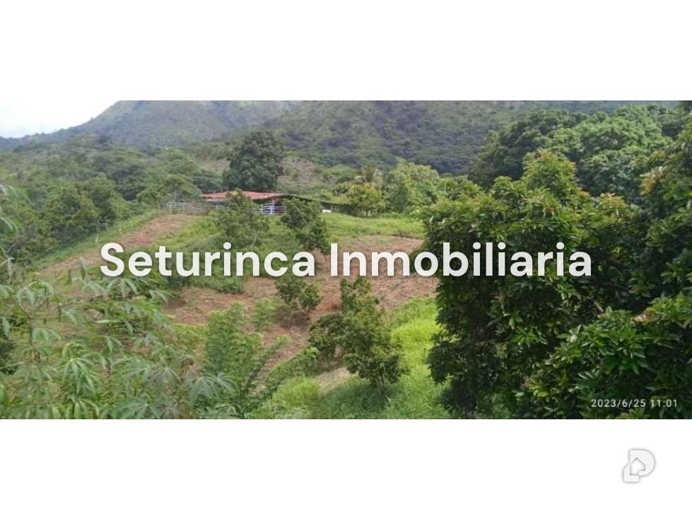 Finca en San Casimiro, Camatagua – 43
