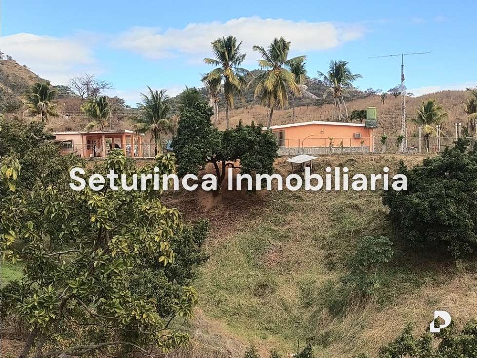 Finca en San Casimiro, Camatagua – 74