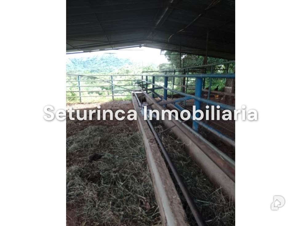 Finca en San Casimiro, Camatagua – 75