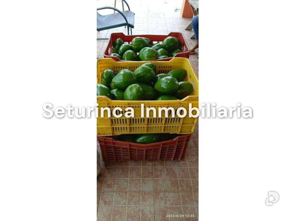 Finca en San Casimiro, Camatagua – 52