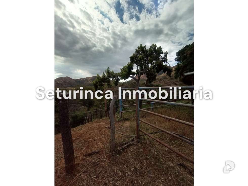 Finca en San Casimiro, Camatagua – 77