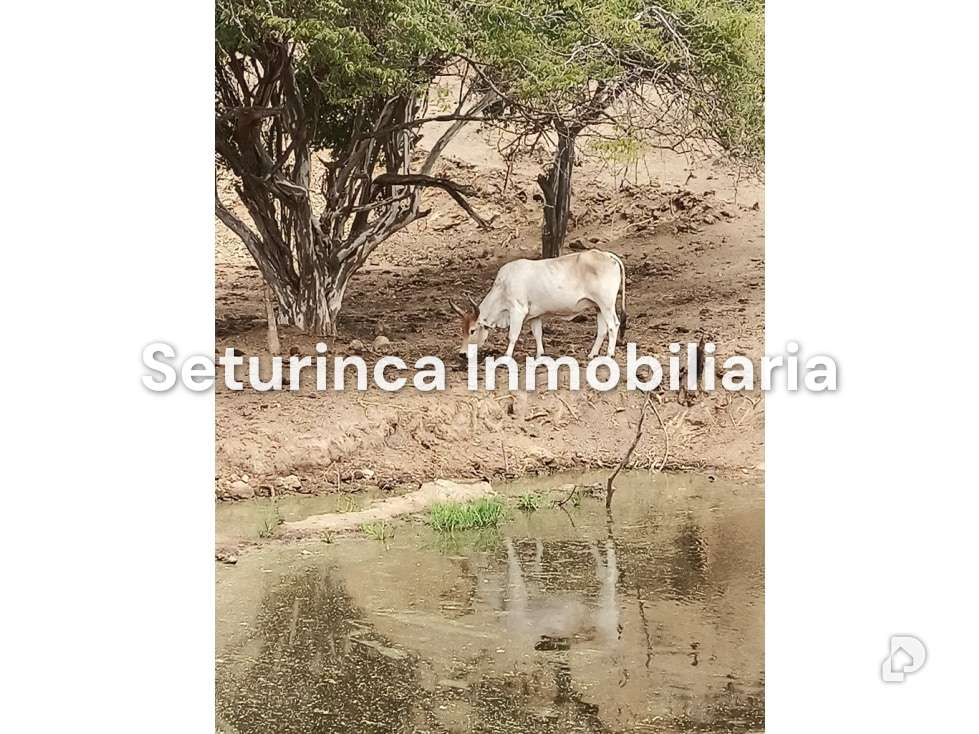 Finca en San Casimiro, Camatagua – 93