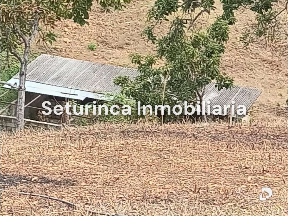 Finca en San Casimiro, Camatagua – 81