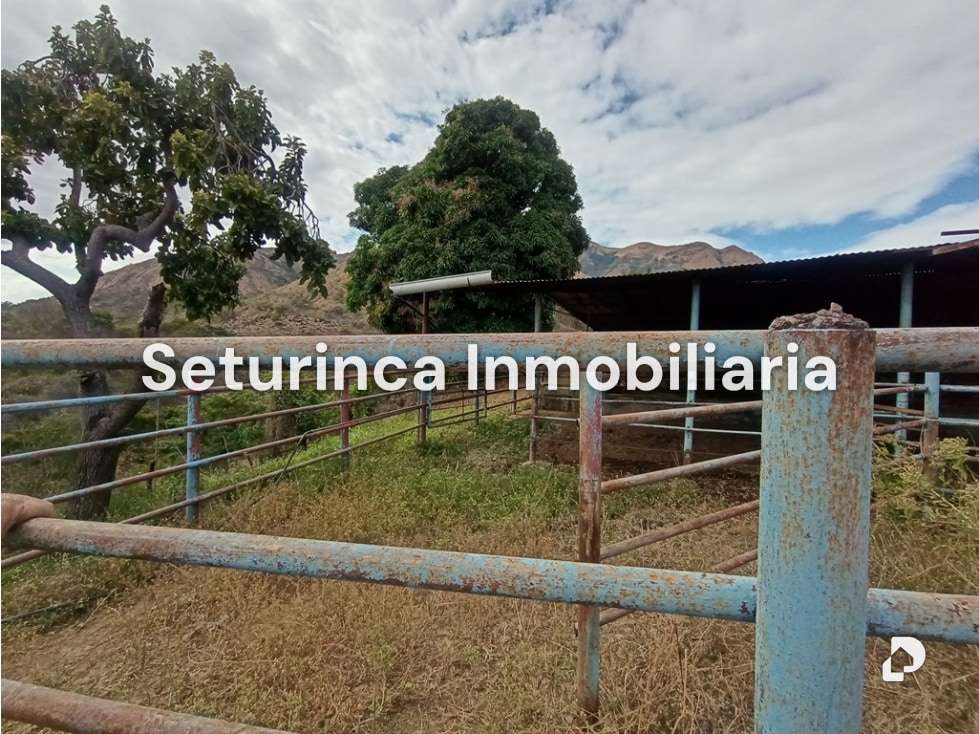 Finca en San Casimiro, Camatagua – 79