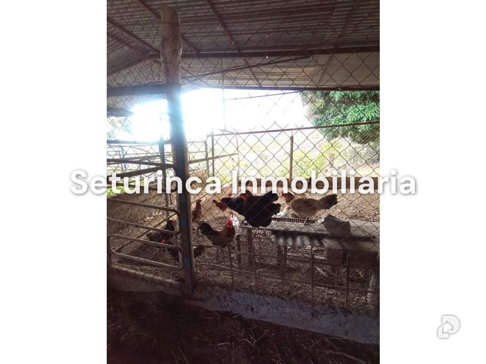 Finca en San Casimiro, Camatagua – 87