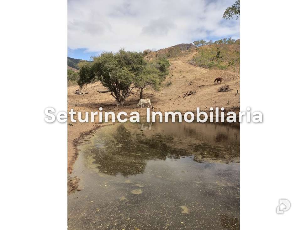 Finca en San Casimiro, Camatagua – 5