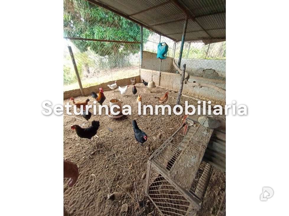 Finca en San Casimiro, Camatagua – 94