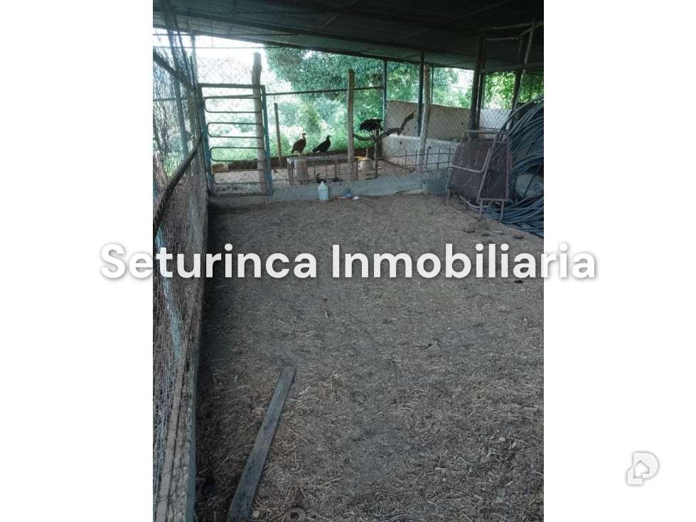 Finca en San Casimiro, Camatagua – 76