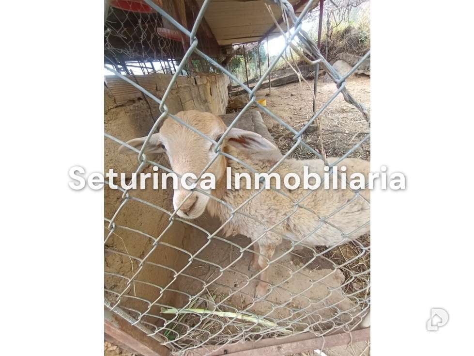 Finca en San Casimiro, Camatagua – 90