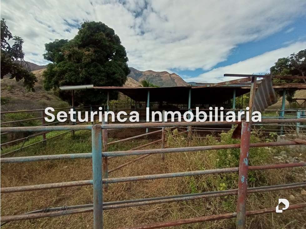 Finca en San Casimiro, Camatagua – 78