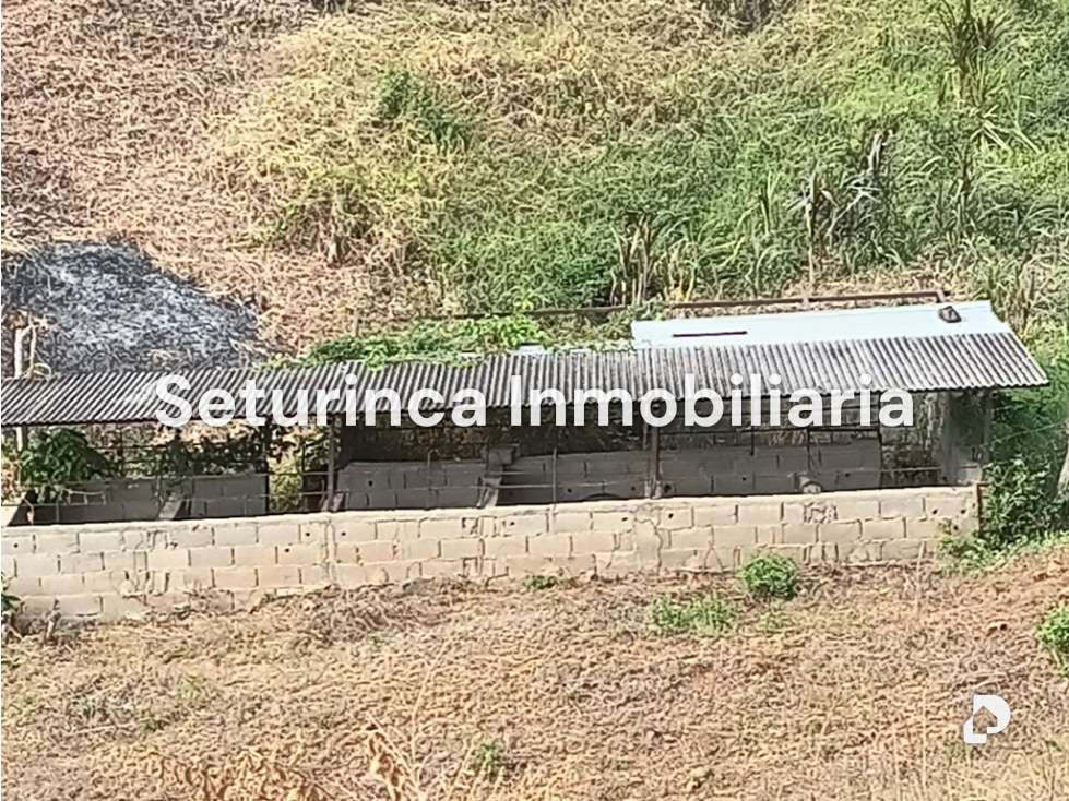 Finca en San Casimiro, Camatagua – 83