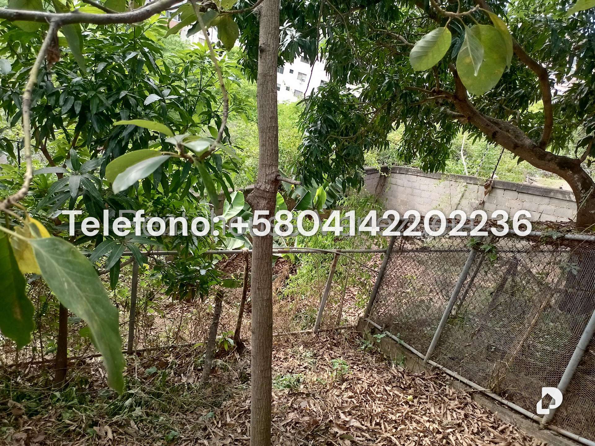 Casa en Colinas de La California, Caracas – 85