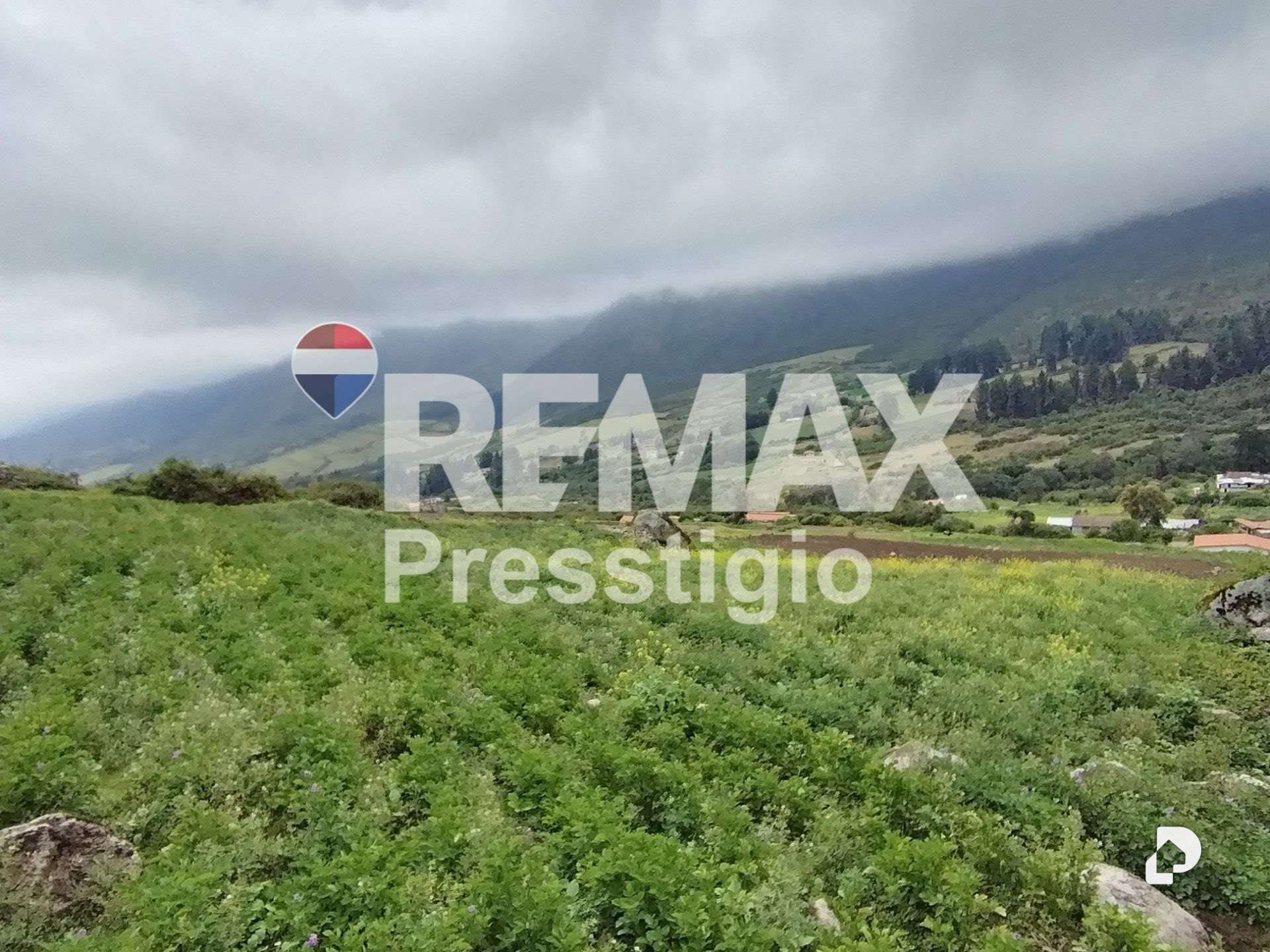Terreno en La Culata – 27