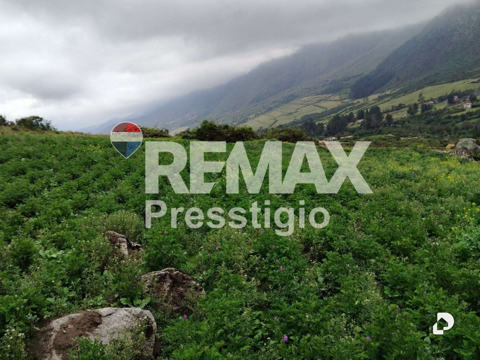 Terreno en La Culata – 30