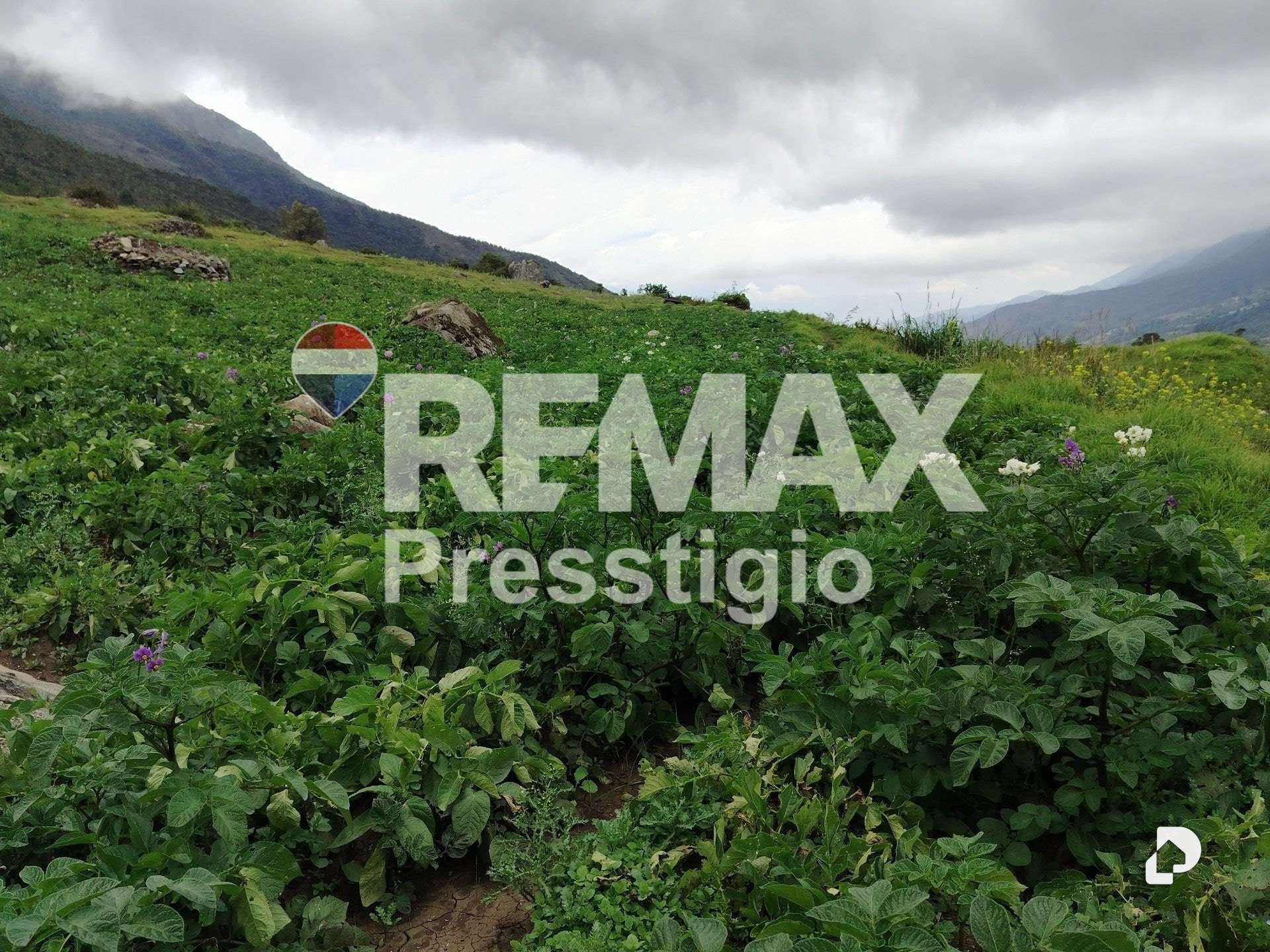 Terreno en La Culata – 17