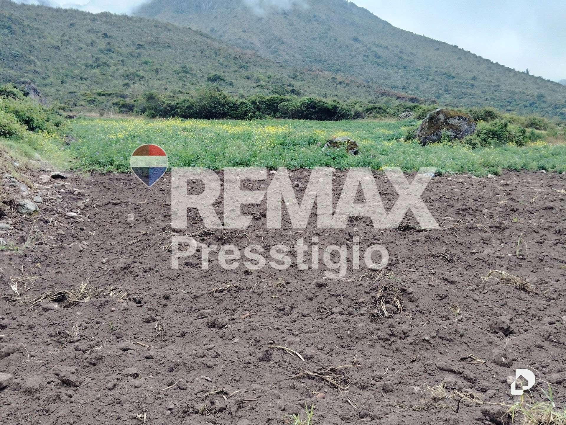 Terreno en La Culata – 24