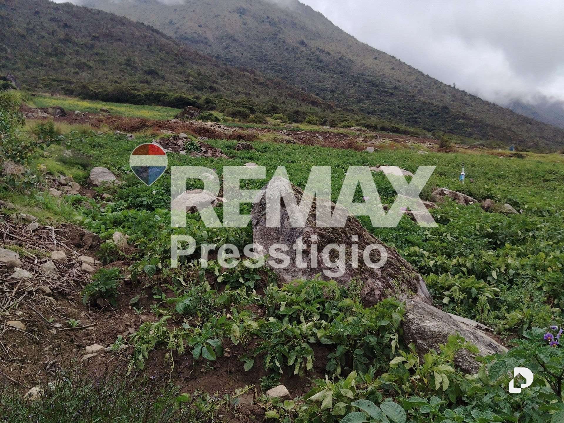 Terreno en La Culata – 16
